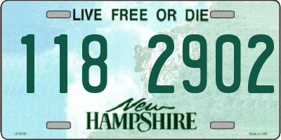 NH license plate 1182902