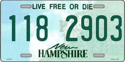 NH license plate 1182903