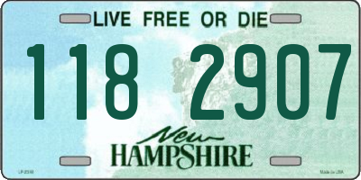 NH license plate 1182907