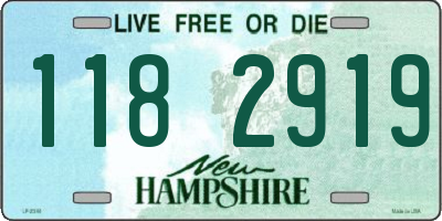 NH license plate 1182919