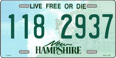 NH license plate 1182937