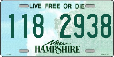 NH license plate 1182938