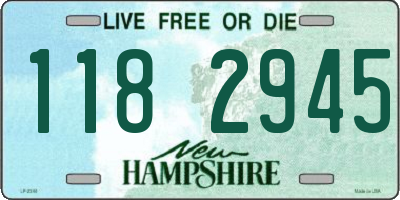 NH license plate 1182945