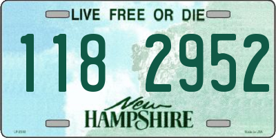 NH license plate 1182952