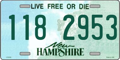 NH license plate 1182953