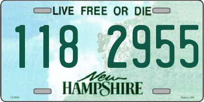 NH license plate 1182955