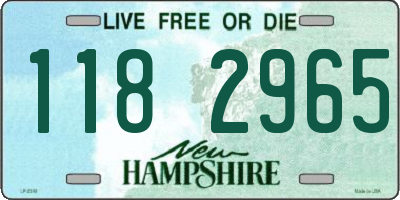 NH license plate 1182965