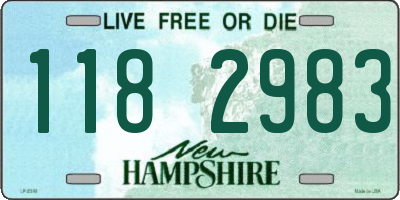 NH license plate 1182983