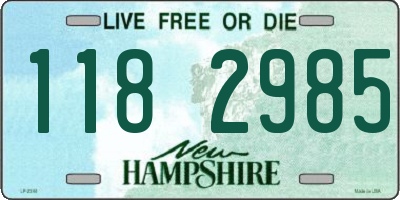NH license plate 1182985