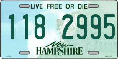 NH license plate 1182995