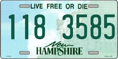 NH license plate 1183585