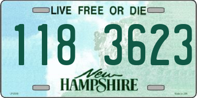 NH license plate 1183623