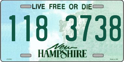 NH license plate 1183738