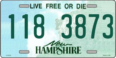 NH license plate 1183873