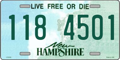NH license plate 1184501
