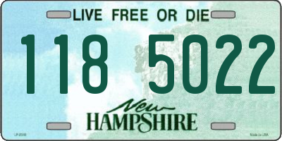 NH license plate 1185022
