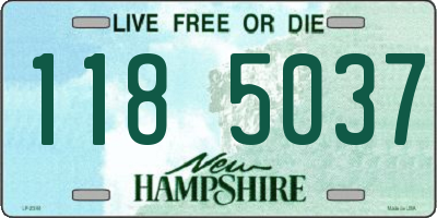 NH license plate 1185037