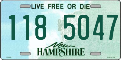 NH license plate 1185047