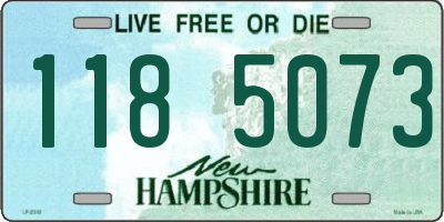 NH license plate 1185073