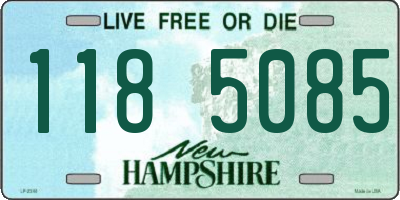 NH license plate 1185085