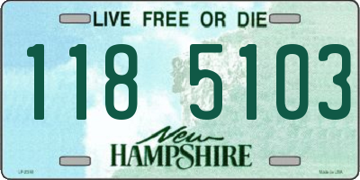 NH license plate 1185103