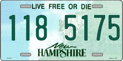 NH license plate 1185175