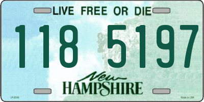 NH license plate 1185197