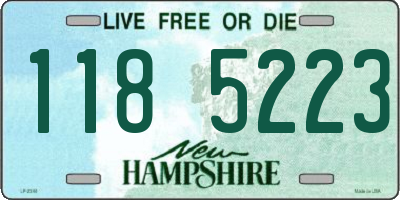 NH license plate 1185223