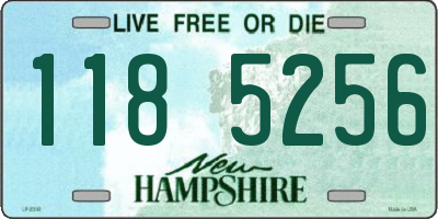 NH license plate 1185256