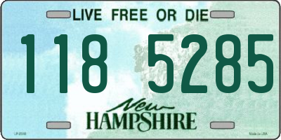 NH license plate 1185285