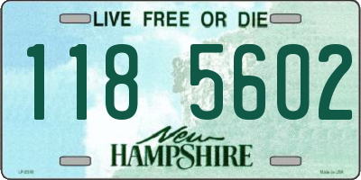 NH license plate 1185602