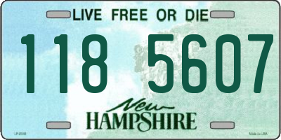 NH license plate 1185607
