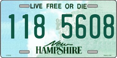 NH license plate 1185608