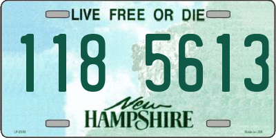 NH license plate 1185613