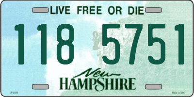 NH license plate 1185751