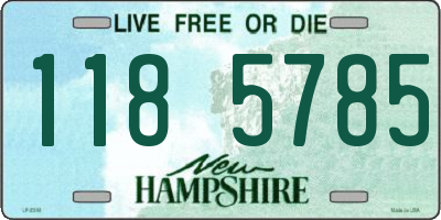 NH license plate 1185785