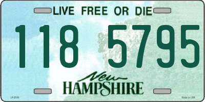 NH license plate 1185795