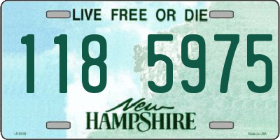 NH license plate 1185975