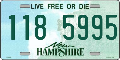NH license plate 1185995