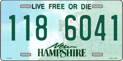 NH license plate 1186041
