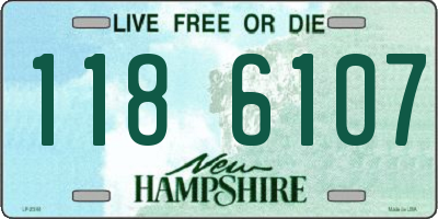 NH license plate 1186107