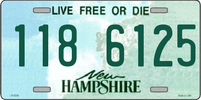 NH license plate 1186125