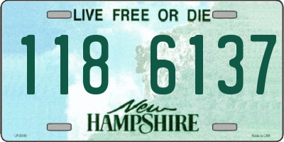 NH license plate 1186137