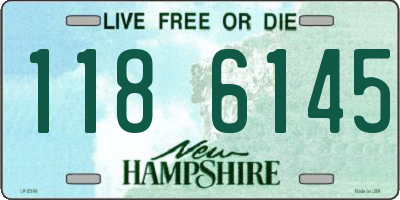 NH license plate 1186145