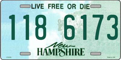 NH license plate 1186173