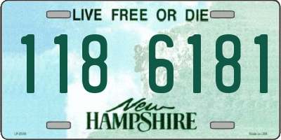 NH license plate 1186181