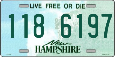 NH license plate 1186197