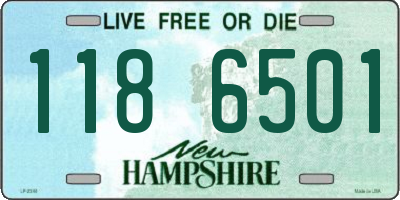 NH license plate 1186501