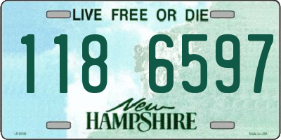 NH license plate 1186597