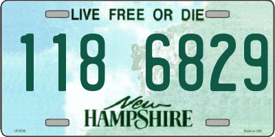 NH license plate 1186829